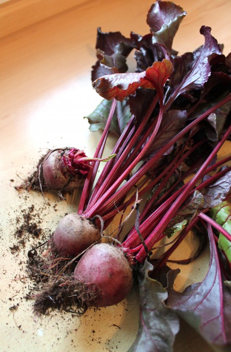 homegrown beetroots