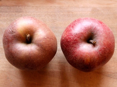 zwei schöne bioäpfel